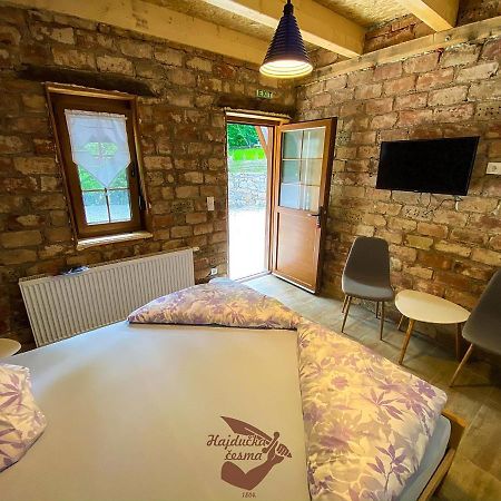 Holiday Park Hajducka Cesma Dubovsko Luaran gambar