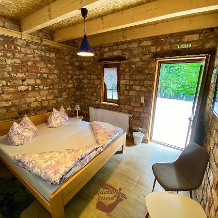 Holiday Park Hajducka Cesma Dubovsko Luaran gambar