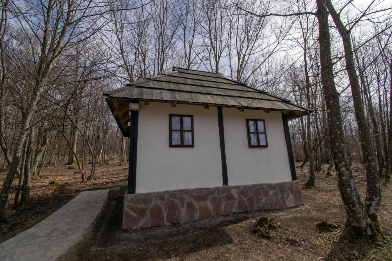 Holiday Park Hajducka Cesma Dubovsko Luaran gambar