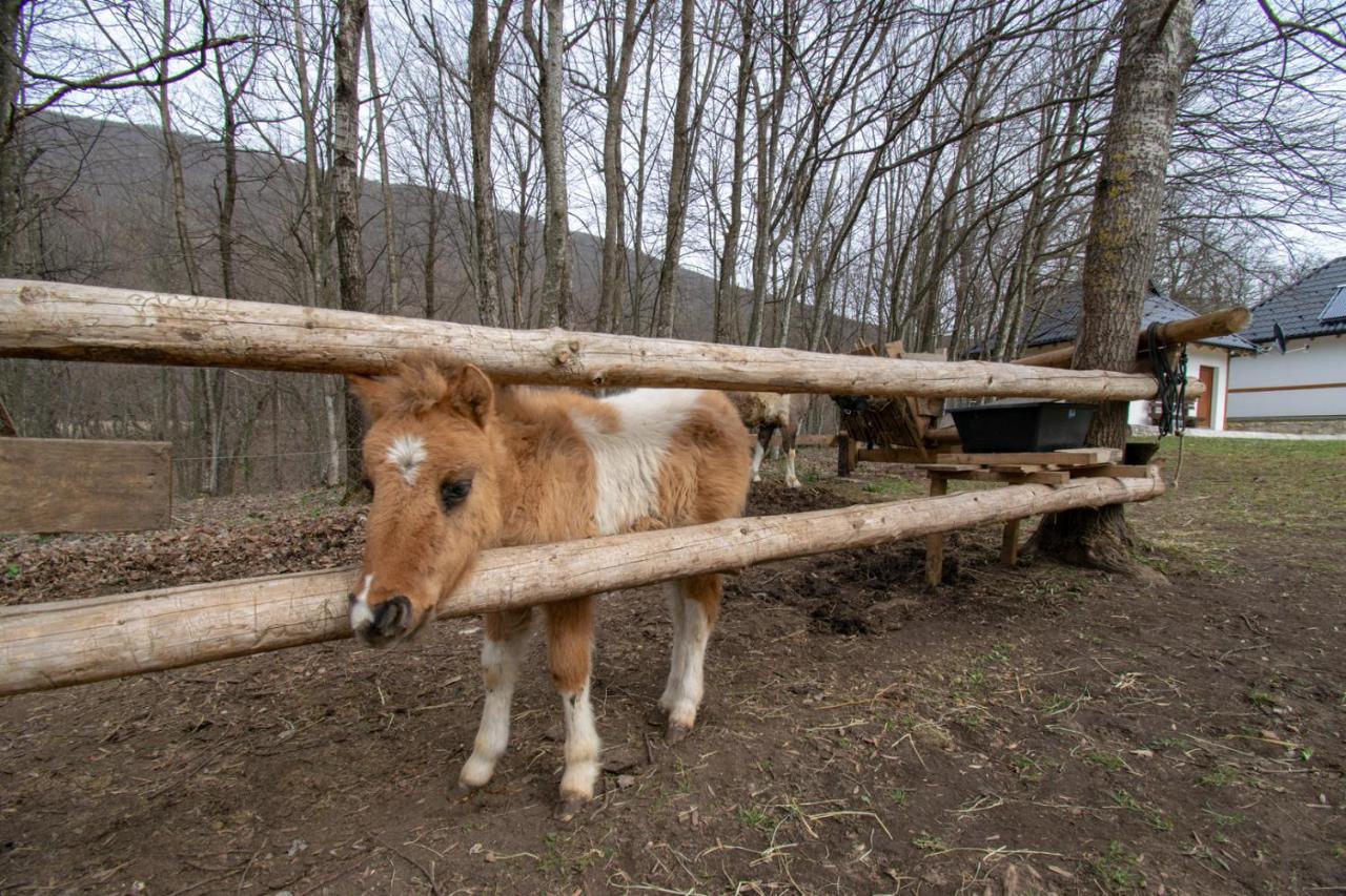 Holiday Park Hajducka Cesma Dubovsko Luaran gambar
