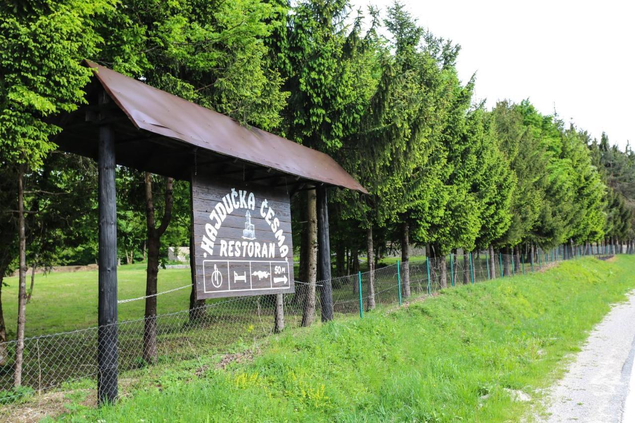 Holiday Park Hajducka Cesma Dubovsko Luaran gambar